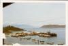 Cau Da Pier 1969