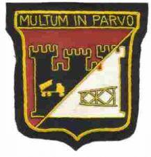 55th Engineer Co PB Patch