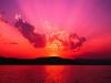 http://www.facebook.com/album.php?aid=3664&id=100000734972045&l=3fab6e857b