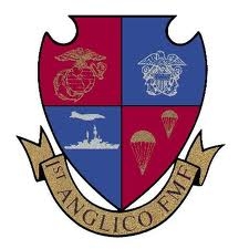 !st ANGLICO, FMF
