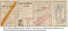 My Vietnamese Driver License