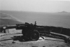Big gun!