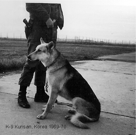 K-9