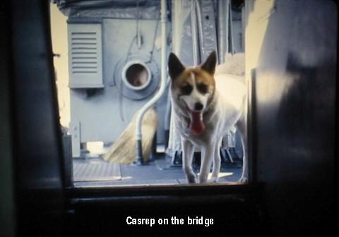 Our mascot, Casrep