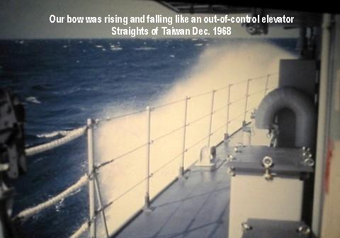 Albatross takes another huge wave