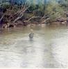 Crossing River