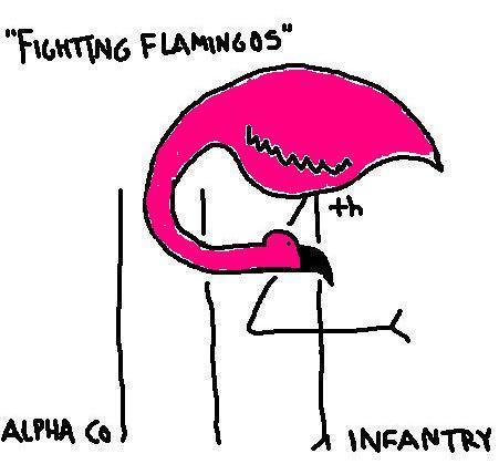 Fighting Flamingos