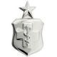 Enlisted Medical Corp Badge