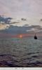 MSO Sunset