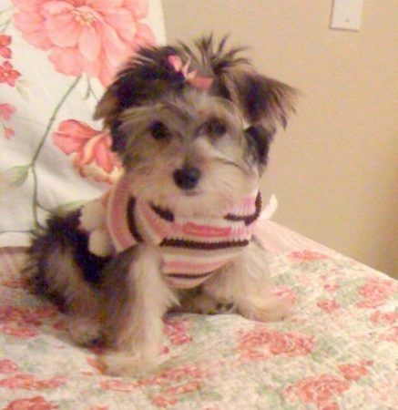 my baby Charlotte