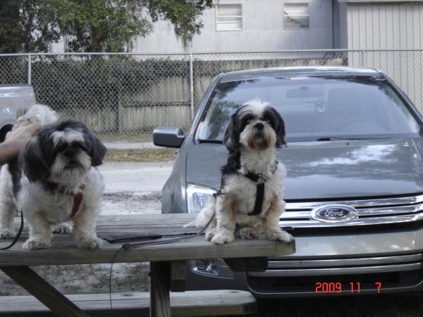 Alexis and Pepper
