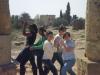 Cyprus chicks