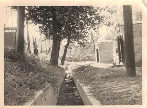 Banjo Ditch