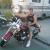 Jose Villarreal