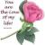 babayj lovely